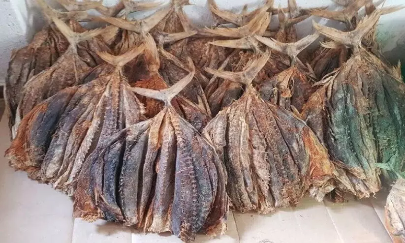 ഉണക്കമത്സ്യ വിപണനം: ശക്തിപ്പെടുത്താൻ തീരദേശ വികസന കോർപറേഷൻ