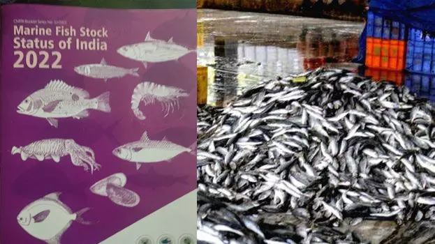 കേന്ദ്ര മത്സ്യഗവേഷണ സ്ഥാപനത്തിന്റെ റിപ്പോർട്ട് തള്ളിക്കളയണമെന്ന് മത്സ്യത്തൊഴിലാളി ഐക്യവേദി കേന്ദ്ര മത്സ്യഗവേഷണ സ്ഥാപനത്തിന്റെ റിപ്പോർട്ട് തള്ളിക്കളയണമെന്ന് മത്സ്യത്തൊഴിലാളി ഐക്യവേദി