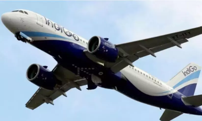 IndiGo IndiGo