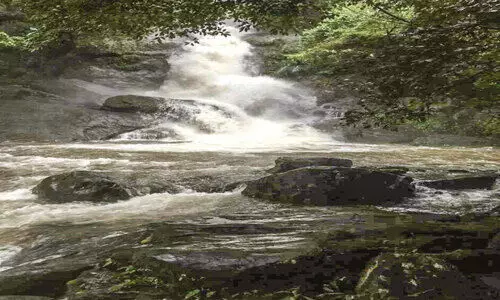 മീൻവല്ലം വെള്ളച്ചാട്ടം കാണാൻ   സഞ്ചാരികളു​ടെ ഒഴുക്ക്