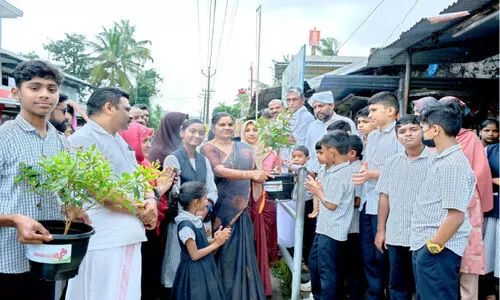 കു​ട്ട​മം​ഗ​ല​ത്തെ പാ​ത​യോ​ര​ത്തി​ന് ഇ​നി പൂ​വ​സ​ന്തം