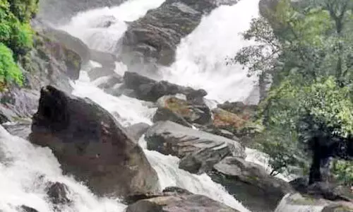 കുളിരൂറുന്ന കാഴ്ചകളുമായി ആറളം വന്യജീവി സങ്കേതം