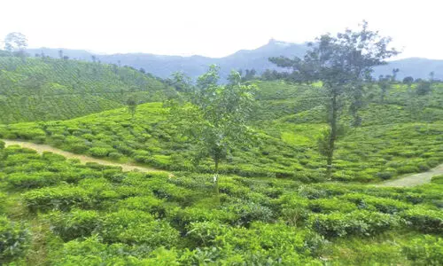 മലക്കപ്പാറയിൽ വിനോദ സഞ്ചാരികൾ വർധിക്കുന്നു