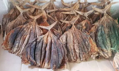 ഉണക്കമത്സ്യ വിപണനം: ശക്തിപ്പെടുത്താൻ തീരദേശ വികസന കോർപറേഷൻ