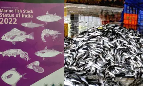 കേന്ദ്ര മത്സ്യഗവേഷണ സ്ഥാപനത്തിന്റെ റിപ്പോർട്ട് തള്ളിക്കളയണമെന്ന് മത്സ്യത്തൊഴിലാളി ഐക്യവേദി