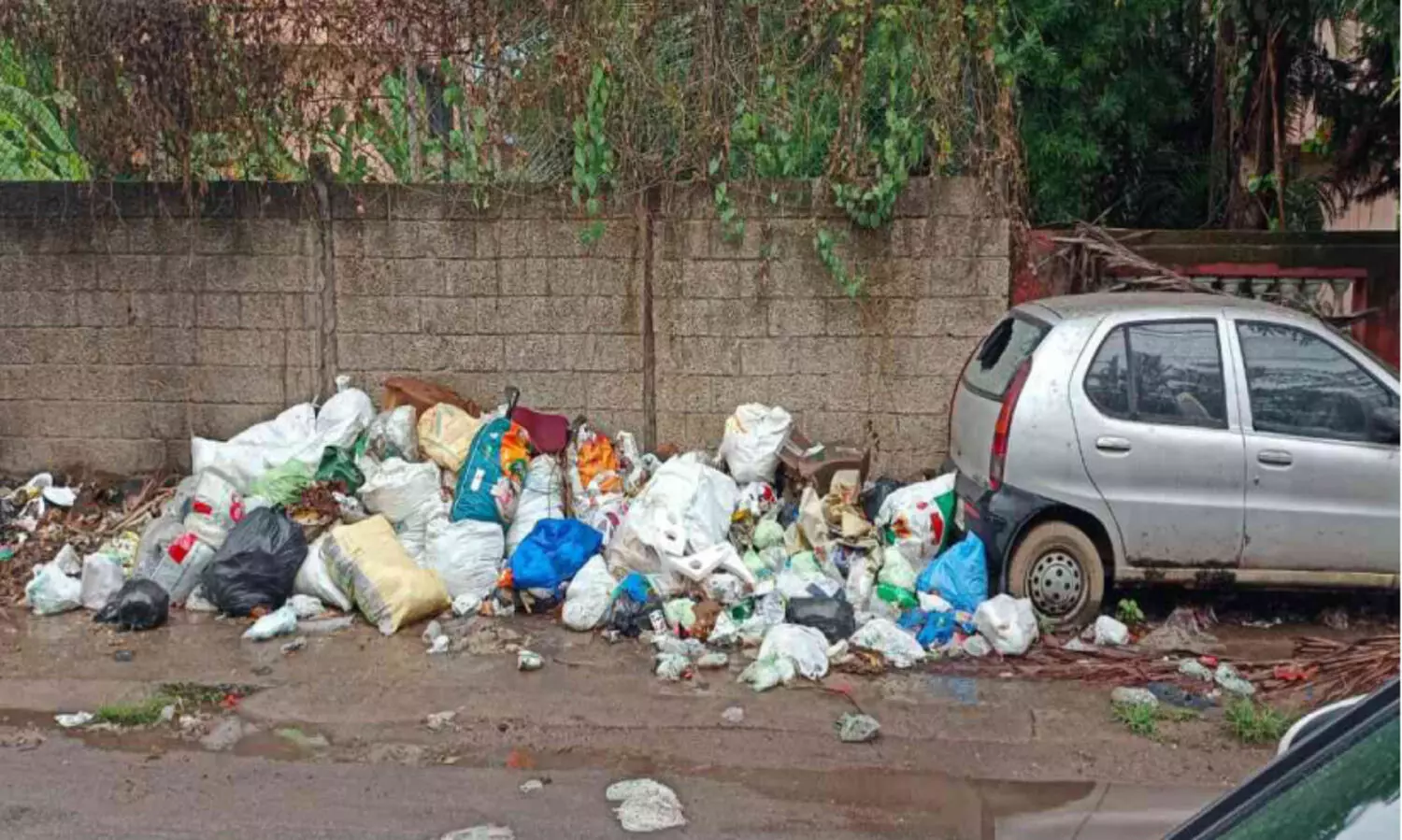 പാരീസ് റോഡിൽ മാലിന്യ നിക്ഷേപം:    ദുർഗന്ധത്താൽ വലഞ്ഞ്​ കാൽനടക്കാർ