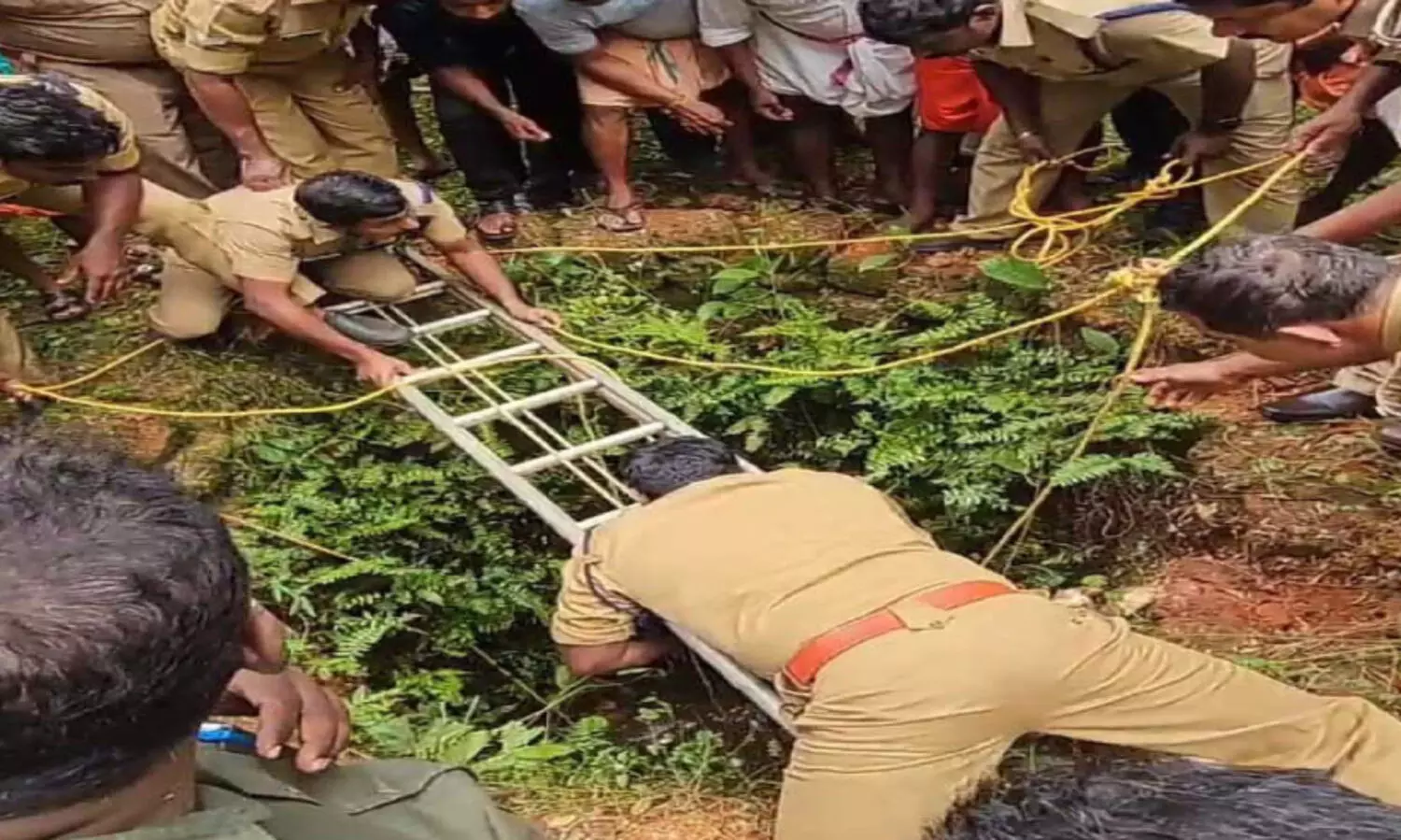 കിണറ്റിൽ വീണ കാട്ടുപന്നിയെ വെടിവെച്ചു കൊന്നു