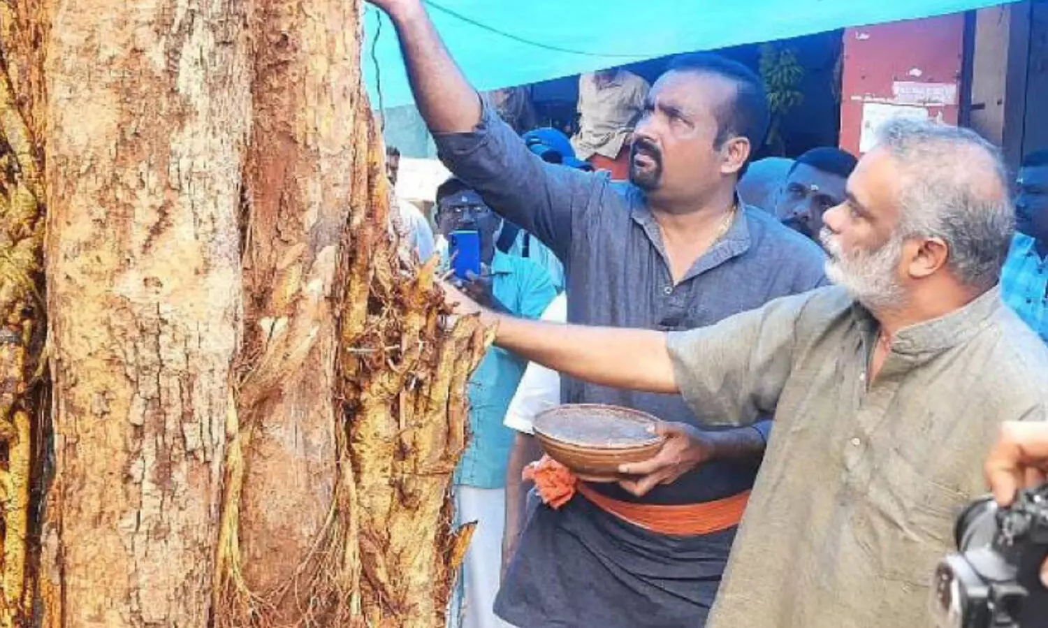 ആൽമരത്തിന്​ ആയുർവേദ ചികിത്സയാരംഭിച്ചു