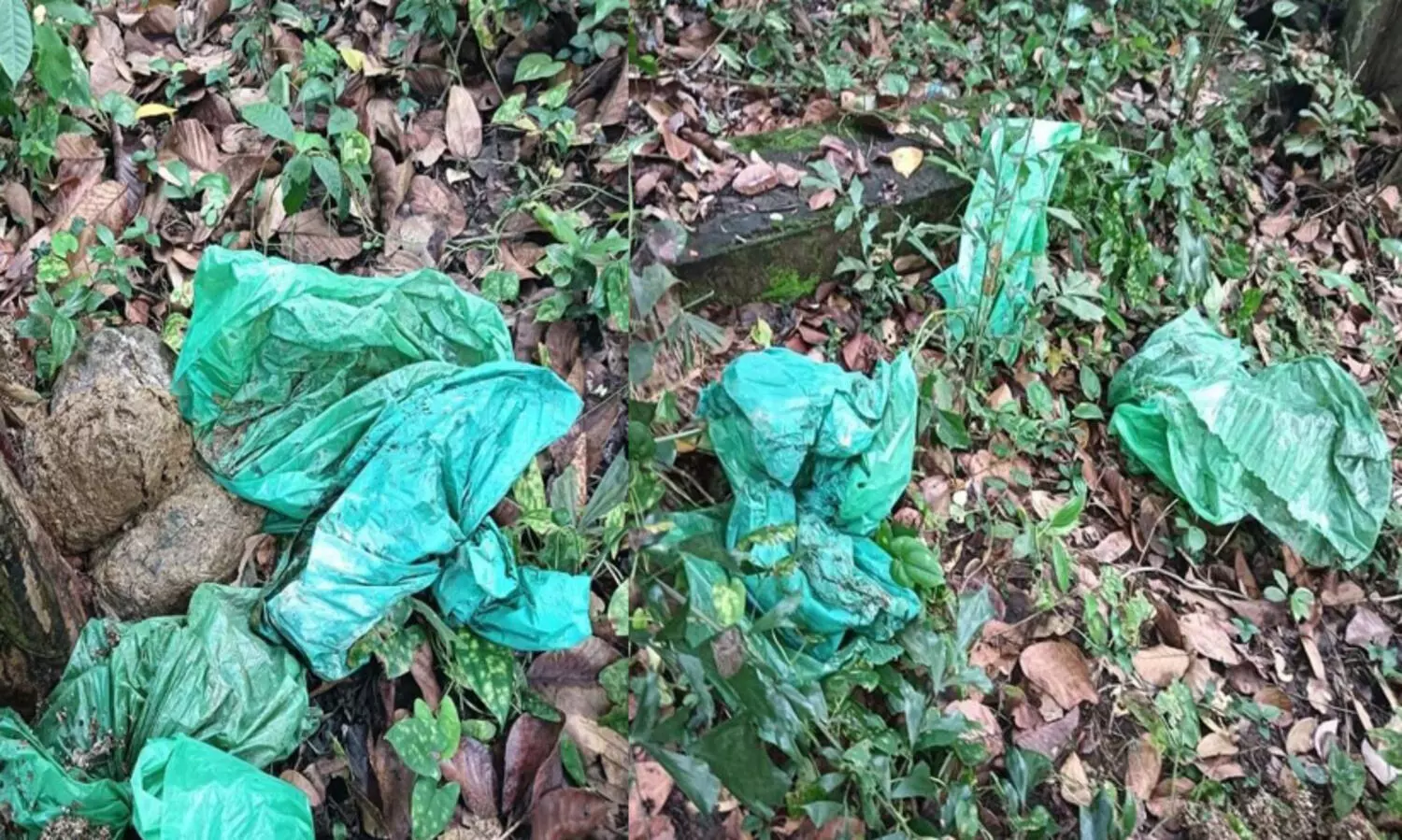 ഉടമയായ ഡോക്ടറുടെ പറമ്പിൽ ആശുപത്രി മാലിന്യങ്ങൾ തള്ളി; പ്രതിഷേധവുമായി നാട്ടുകാർ