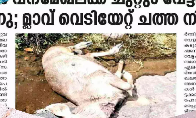 സ്ക്വാഡുകൾ കണ്ടെത്തിയത് വ്യാപക മൃഗവേട്ട