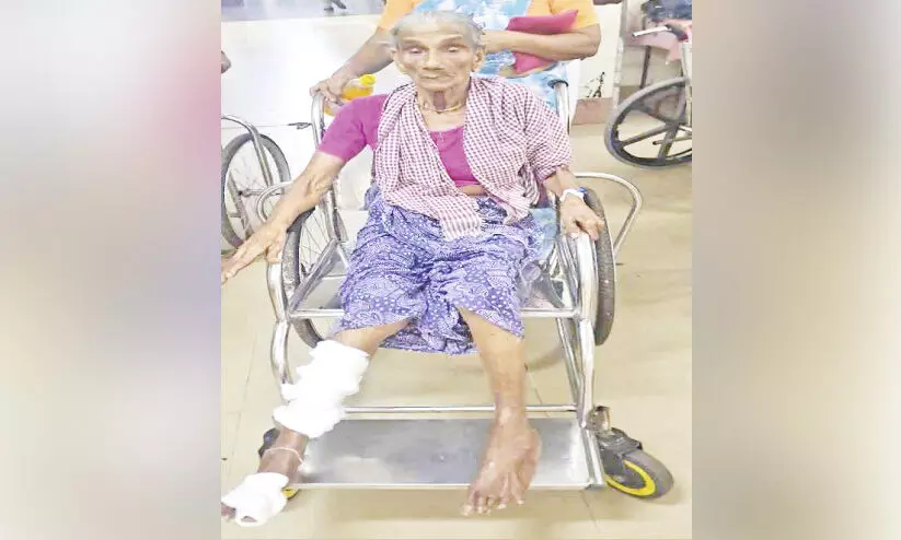 ഗു​രു​വാ​യൂ​രി​ല്‍ ഏ​ഴു​പേ​ര്‍ക്ക്   തെ​രു​വു​നാ​യു​ടെ ക​ടി​യേ​റ്റു