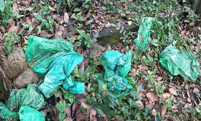 ഉടമയായ ഡോക്ടറുടെ പറമ്പിൽ ആശുപത്രി മാലിന്യങ്ങൾ തള്ളി; പ്രതിഷേധവുമായി നാട്ടുകാർ ഉടമയായ ഡോക്ടറുടെ പറമ്പിൽ ആശുപത്രി മാലിന്യങ്ങൾ തള്ളി; പ്രതിഷേധവുമായി നാട്ടുകാർ