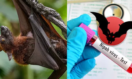 നിപ സംശയം: കോഴിക്കോട്ട് അതീവ ജാഗ്രത, പരിശോധന ഫലം ഇന്ന് ലഭിക്കും