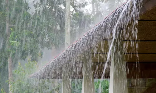 സംസ്ഥാനത്ത് കാലവർഷം സജീവമാകും; മൂന്ന് ജില്ലകളിൽ യെല്ലോ അലർട്ട്