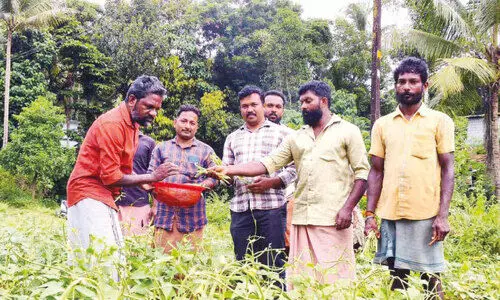 ഇ​വി​ടത്തെ പ​ച്ച​ക്ക​റി​ക്കു​ണ്ട്, കാ​രു​ണ്യ​ത്തി​ന്‍റ തു​ടി​പ്പ്