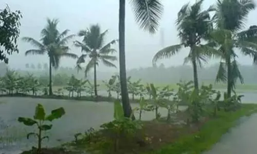 ദുര്‍ബല കാലവര്‍ഷം: വേ​ണം, വ​ര​ൾ​ച്ച പ്ര​തി​രോ​ധി​ക്കാ​ൻ മു​ന്‍ക​രു​ത​ലു​ക​ള്‍