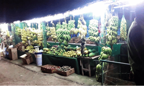 ഖ​രീ​ഫ് സീ​സ​ൺ അ​വ​സാ​നി​ക്കു​ന്നു;    കി​ട്ടാ​ക്ക​നി​യാ​യി ക​രി​ക്ക്​