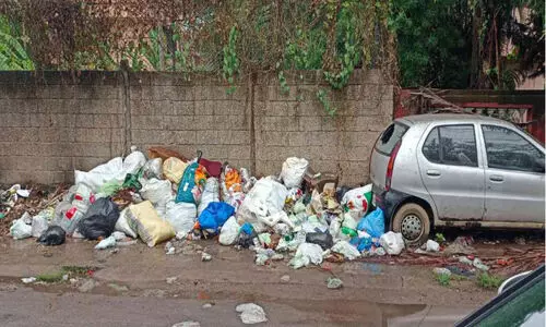 പാരീസ് റോഡിൽ മാലിന്യ നിക്ഷേപം:    ദുർഗന്ധത്താൽ വലഞ്ഞ്​ കാൽനടക്കാർ