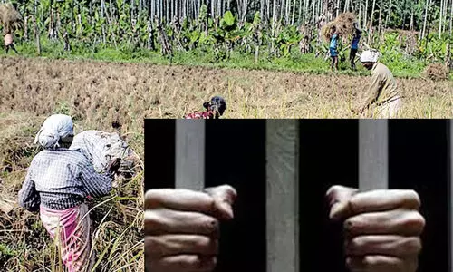 അഴിമതി കേസിൽ കൃഷി ഓഫീസർമാർക്ക് തടവ് ശിക്ഷ