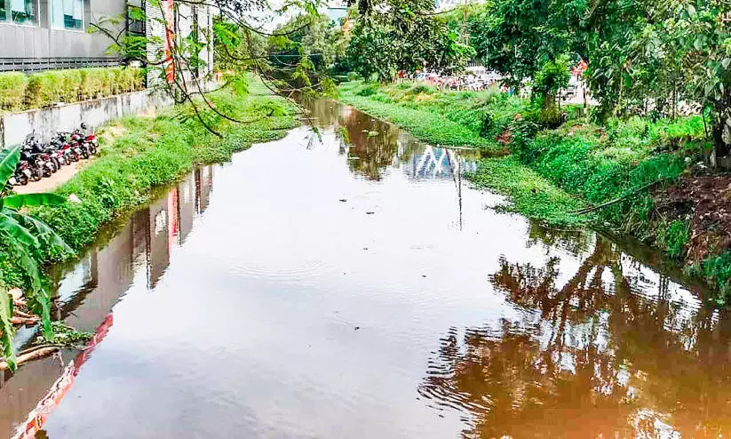സംരക്ഷണമില്ലാതെ നശിക്കുന്നു‘കണ്ണീരൊഴുക്കി’ ഇടച്ചിറതോട് സംരക്ഷണമില്ലാതെ നശിക്കുന്നു‘കണ്ണീരൊഴുക്കി’ ഇടച്ചിറതോട്