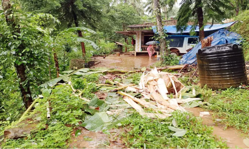 കക്കയം ഭാഗത്ത് സോളാർ ഫെൻസിങ് പ്രവർത്തനം കാര്യക്ഷമമാക്കും