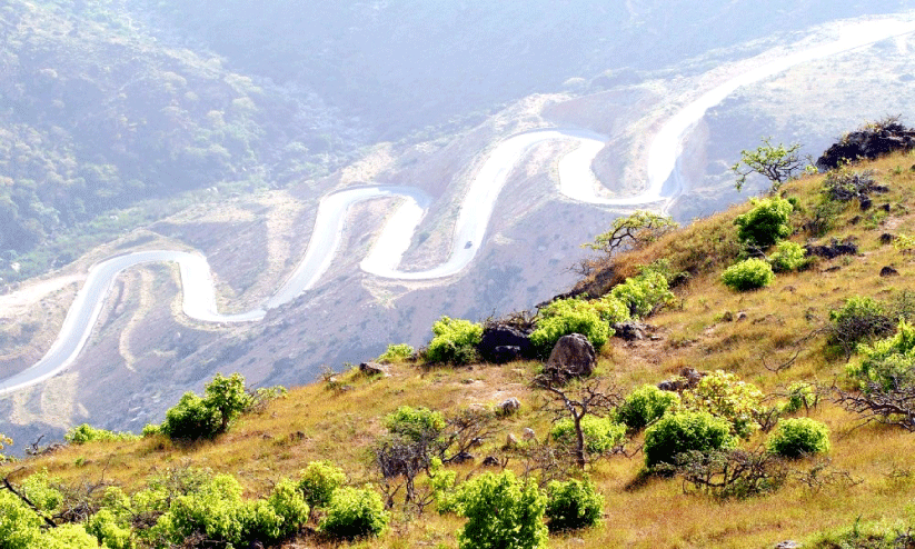 വ​രു​ന്നു സ​ർ​ബ്​ സീ​സ​ൺ; സ​ലാ​ല​യി​ൽ​ സ​ഞ്ചാ​രി​ക​ൾ​ ഒ​ഴി​യി​ല്ല