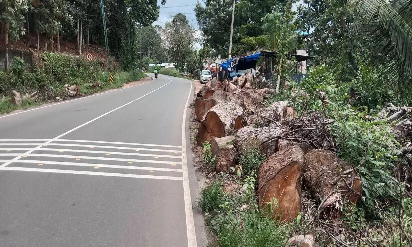 ദേശീയപാതയോരത്ത് മുറിച്ചിട്ട തടികള്‍ ഭീഷണി അ​പ​ക​ട​ങ്ങ​ൾ പ​തി​വെന്ന് നാ​ട്ടു​കാ​ർ