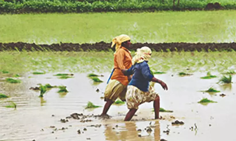 ഭൂമി തരംമാറ്റം: തീർപ്പാക്കൽ വേഗത്തിലാക്കാൻ ഡെപ്യുട്ടി കലക്ടർമാർക്കും അധികാരം