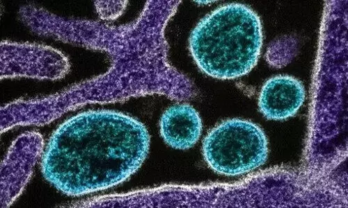 മ​ഹാ​മാ​രി​യ​ല്ല;എ​പ്പി​ഡെ​മി​ക്ക്  മാ​ത്രം