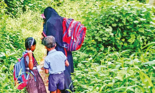 കാടുപിടിച്ച വഴി, തെരുവുനായ്ക്കളുടെ ശല്യം; ഭീതിയിൽ വിദ്യാർഥികളുടെ യാത്ര കാടുപിടിച്ച വഴി, തെരുവുനായ്ക്കളുടെ ശല്യം; ഭീതിയിൽ വിദ്യാർഥികളുടെ യാത്ര