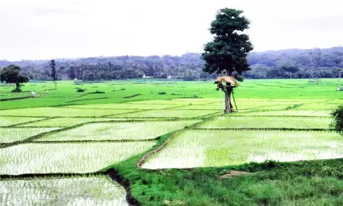 പ്രതിരോധ സംവിധാനങ്ങൾ കാര്യക്ഷമമല്ല