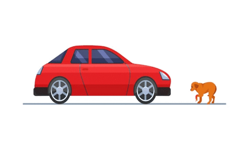 തെ​രു​വു​പ​ട്ടി    എം.​പി​യു​ടെ കാ​റി​നു​    കു​റു​കെ ചാ​ടി    അ​പ​ക​ടം