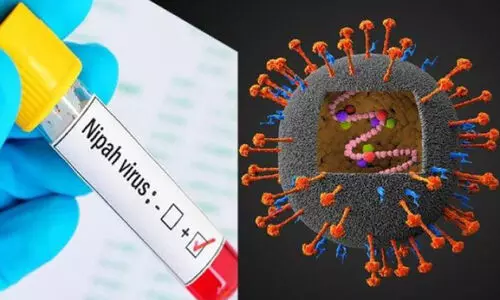 നിപ: കണ്ണൂർ ജില്ലയിലും ജാഗ്രതാനിർദേശം നിപ: കണ്ണൂർ ജില്ലയിലും ജാഗ്രതാനിർദേശം