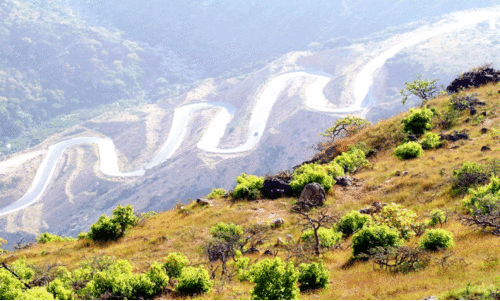 വ​രു​ന്നു സ​ർ​ബ്​ സീ​സ​ൺ; സ​ലാ​ല​യി​ൽ​ സ​ഞ്ചാ​രി​ക​ൾ​ ഒ​ഴി​യി​ല്ല