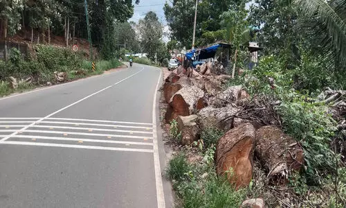 ദേശീയപാതയോരത്ത് മുറിച്ചിട്ട തടികള്‍ ഭീഷണി അ​പ​ക​ട​ങ്ങ​ൾ പ​തി​വെന്ന് നാ​ട്ടു​കാ​ർ