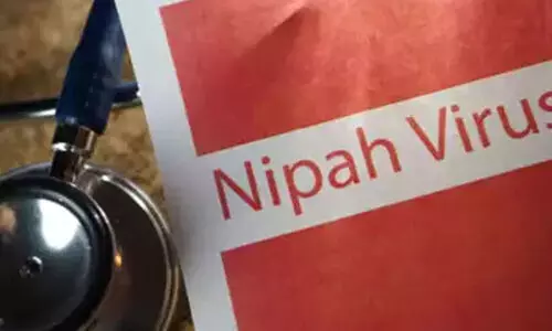 നിപ വൈറസ്: ഇത്തവണ രോഗലക്ഷണങ്ങളിൽ മാറ്റമെന്ന്, നേരത്തെ തലച്ചോറിലായിരുന്നു... നിപ വൈറസ്: ഇത്തവണ രോഗലക്ഷണങ്ങളിൽ മാറ്റമെന്ന്, നേരത്തെ തലച്ചോറിലായിരുന്നു...