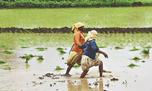 ഭൂമി തരംമാറ്റം: തീർപ്പാക്കൽ വേഗത്തിലാക്കാൻ ഡെപ്യുട്ടി കലക്ടർമാർക്കും അധികാരം