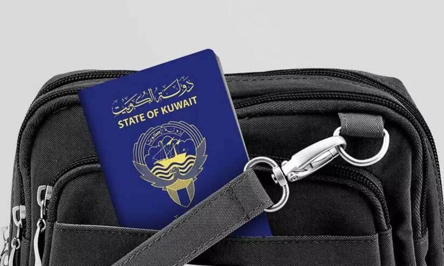 indian embassy-guidance