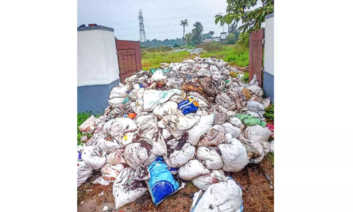 കുമ്പളത്ത് ആളൊഴിഞ്ഞ സ്ഥലത്ത് വീണ്ടും പ്ലാസ്റ്റിക് മാലിന്യം തള്ളി