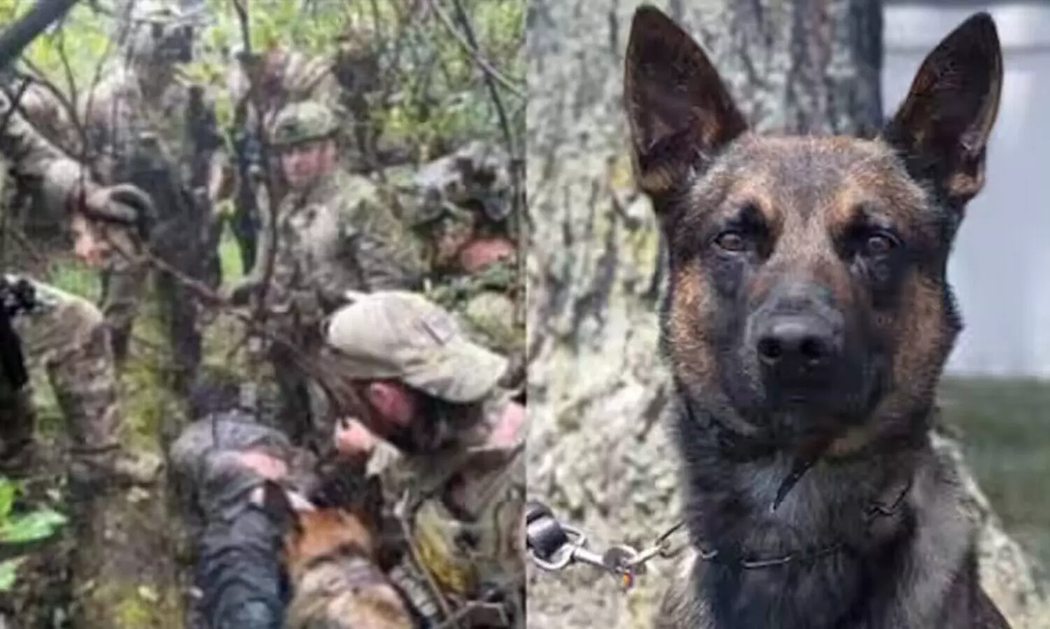 ജീവപര്യന്തം തടവിന് ശിക്ഷിക്കപ്പെട്ടതിന് പിന്നാലെ ജയിൽ ചാടിയ കുറ്റവാളി പിടിയിൽ