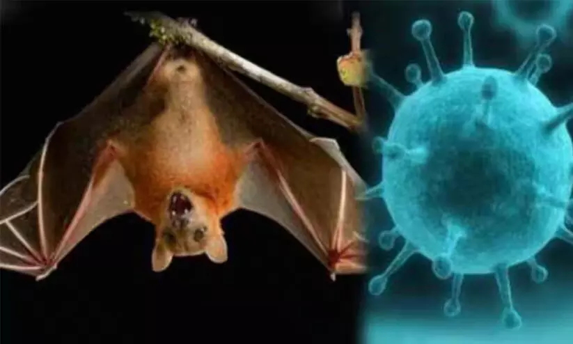 ആയഞ്ചേരിയിൽ ഒമ്പത് വാർഡുകൾ അടച്ചു, അതിജാഗ്രത തുടരുന്നു ആയഞ്ചേരിയിൽ ഒമ്പത് വാർഡുകൾ അടച്ചു, അതിജാഗ്രത തുടരുന്നു