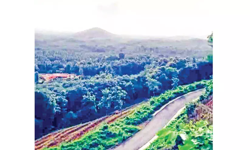 പാലക്കയം-ശിരുവാണി റോഡ് പുനർനിർമാണം നീളും പാലക്കയം-ശിരുവാണി റോഡ് പുനർനിർമാണം നീളും