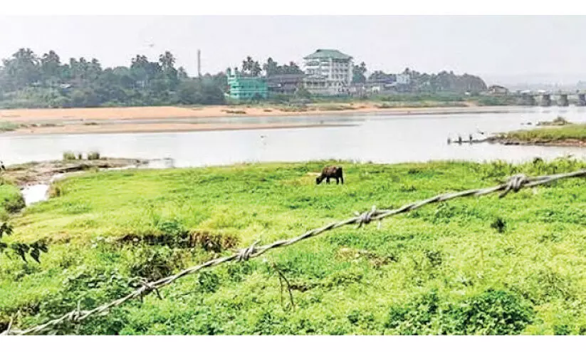 പ​ട്ടാ​മ്പി​യി​ലെ മൂ​ന്നു പാ​ല​ങ്ങ​ൾ: പ്ര​വൃ​ത്തി വേ​ഗ​ത്തി​ൽ പൂ​ർ​ത്തി​യാ​ക്കും -മ​ന്ത്രി