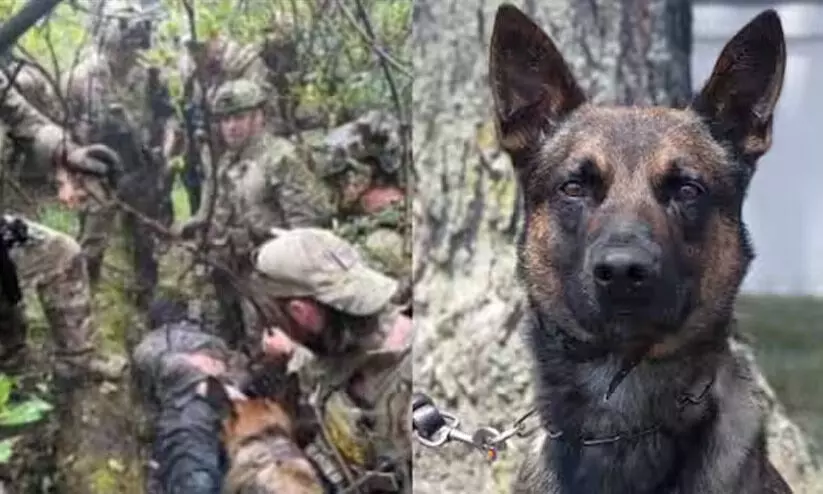 ജീവപര്യന്തം തടവിന് ശിക്ഷിക്കപ്പെട്ടതിന് പിന്നാലെ ജയിൽ ചാടിയ കുറ്റവാളി പിടിയിൽ ജീവപര്യന്തം തടവിന് ശിക്ഷിക്കപ്പെട്ടതിന് പിന്നാലെ ജയിൽ ചാടിയ കുറ്റവാളി പിടിയിൽ