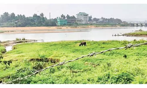 പ​ട്ടാ​മ്പി​യി​ലെ മൂ​ന്നു പാ​ല​ങ്ങ​ൾ: പ്ര​വൃ​ത്തി വേ​ഗ​ത്തി​ൽ പൂ​ർ​ത്തി​യാ​ക്കും -മ​ന്ത്രി