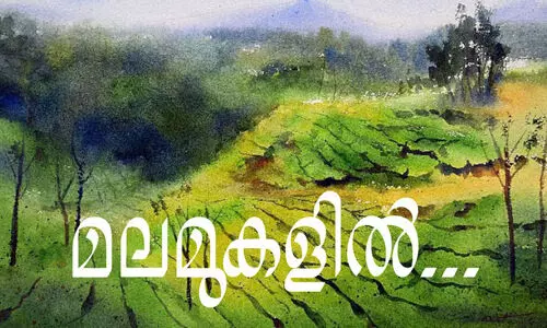 മലമുകളിൽ