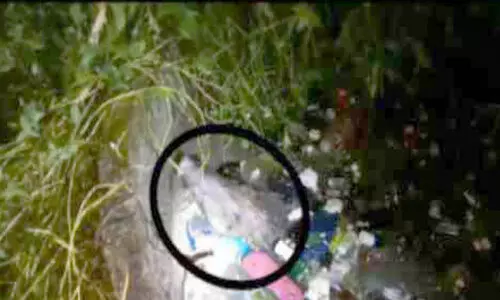 കിണറ്റിൽ വീണ കാട്ടുപന്നിയെ വെടിവെച്ചുകൊന്നു