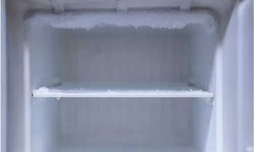 പെൻഷൻ തട്ടിയെടുക്കാൻ ഭാര്യയുടെ മൃതദേഹം അഞ്ചു വർഷം ഫ്രീസറിൽ സൂക്ഷിച്ചു; ഭർത്താവ് അറസ്റ്റിൽ