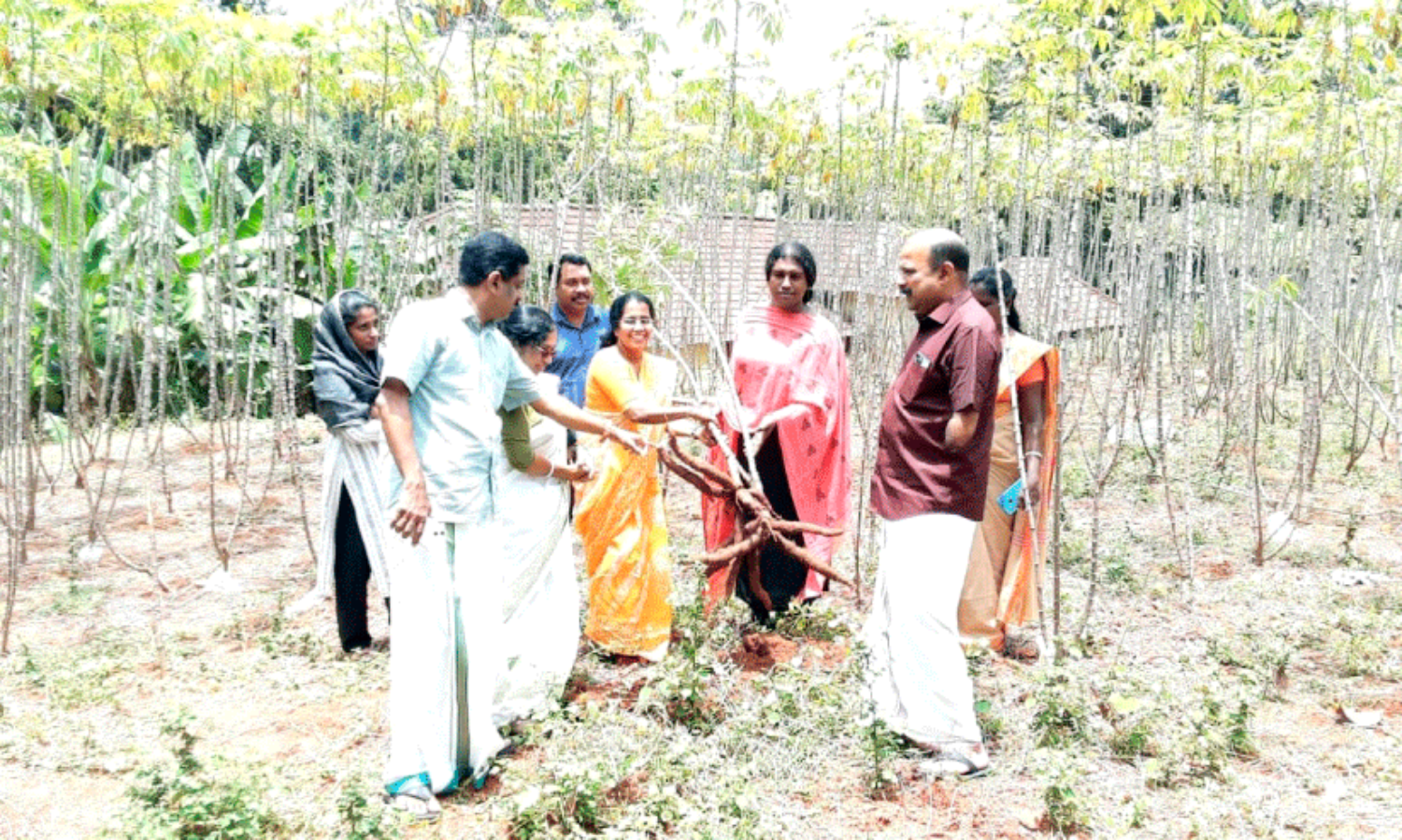 ട്രാ​ൻ​സ് വു​മ​ൺ ശ്രാ​വ​ന്തി​ക​യു​ടെ കാ​ർ​ഷി​ക വി​ള​വെ​ടു​പ്പ് ജി​ല്ല പ​ഞ്ചാ​യ​ത്ത് പ്ര​സി​ഡ​ന്‍റ്​ കെ.​ജി. രാ​ജേ​ശ്വ​രി ഉ​ദ്​​ഘാ​ട​നം ചെ​യ്യു​ന്നു