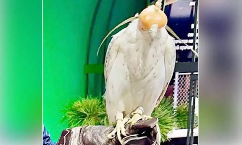 ഹ​മ​ദ് രാ​ജാ​വി​ന് റ​ഷ്യ​ൻ പ്ര​സി​ഡ​ന്റ് പു​ടി​ന്റെ സ​മ്മാ​നം